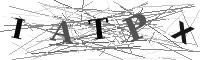 Please refresh your browser to see this image.
